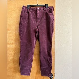 American Eagle Corduroy Pant, Burgundy